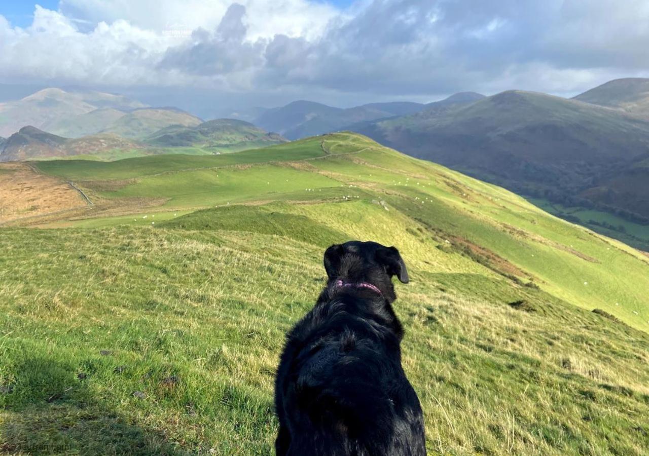The Barn At Geufron Farm - Dog Friendly - Nr Tywyn Villa Bryn-crug Ngoại thất bức ảnh