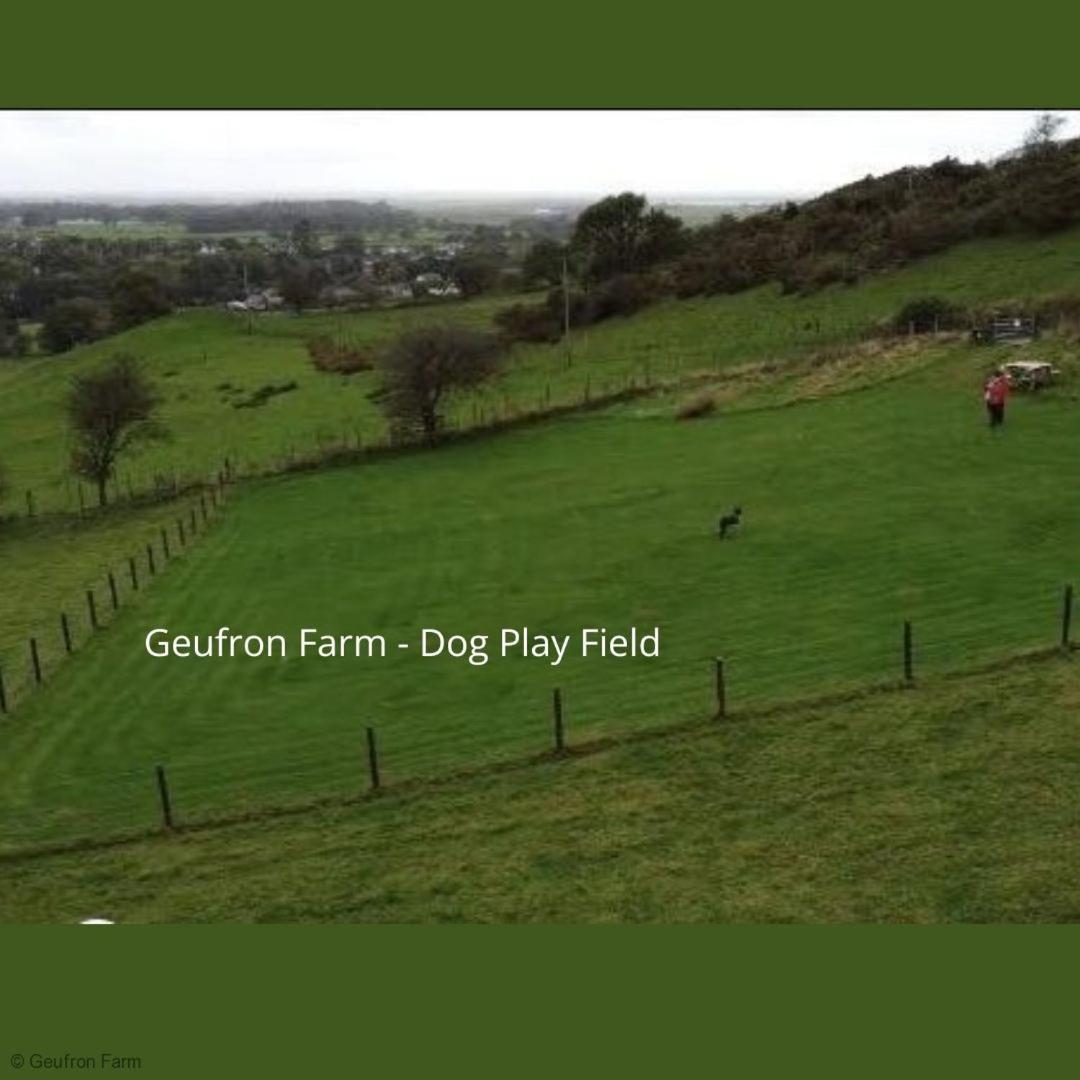 The Barn At Geufron Farm - Dog Friendly - Nr Tywyn Villa Bryn-crug Ngoại thất bức ảnh